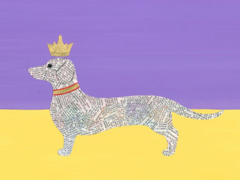 Regal Dachshund Tale
