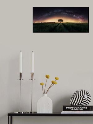 Milky way over lonely tree