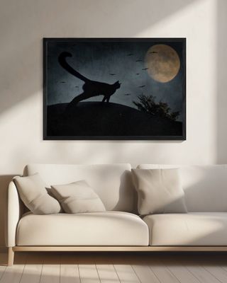 the curious tail of the cat filemon...