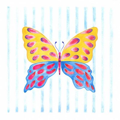 Yellow and Blue Butterfly