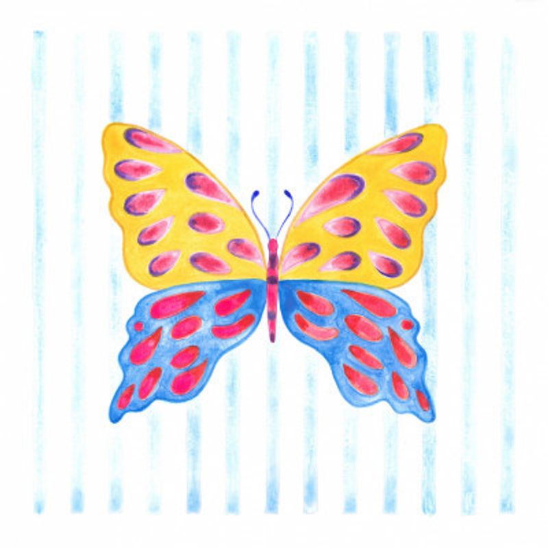 Yellow and Blue Butterfly