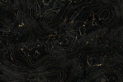 Portoro Black and Gold Marble Texture I