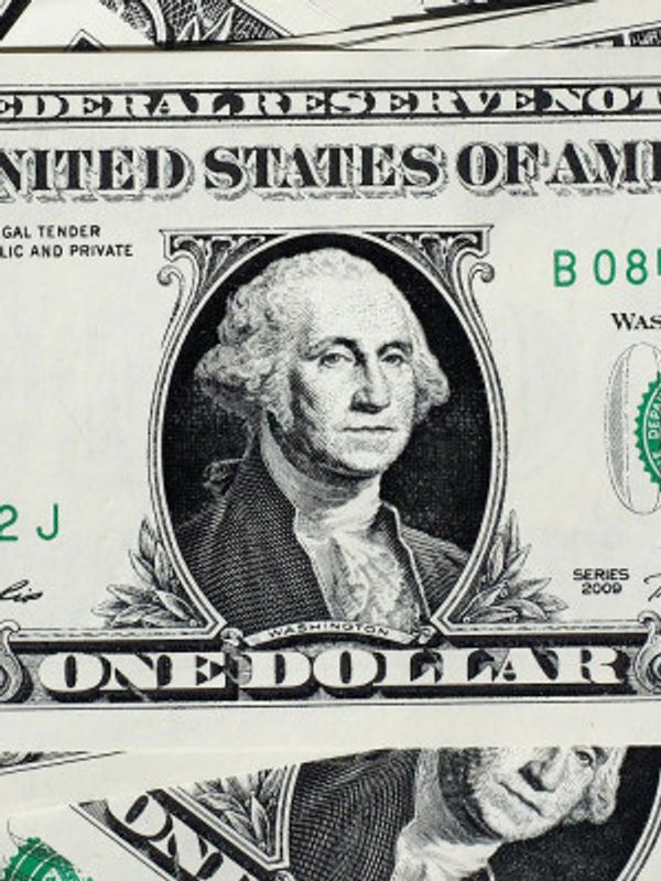 Dollar Bill Greenback Portrait