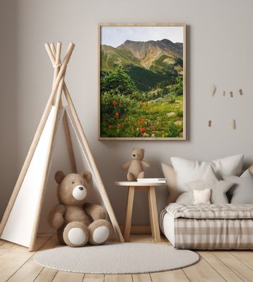 Loveland Pass Paintbrush