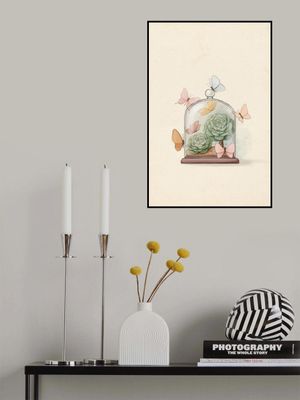 Succulent Fairy Plant