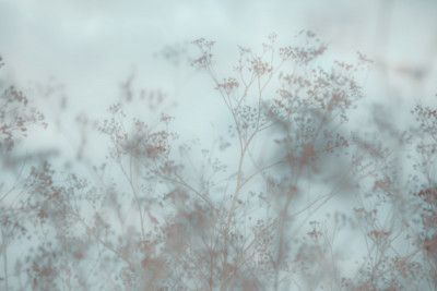 Early Morning Dried Meadow Spain Blue