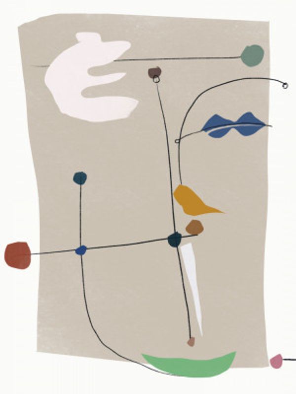 Organic Shapes and Thin Black Lines