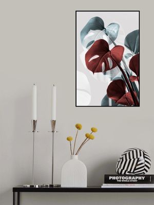 Monstera Creative 15