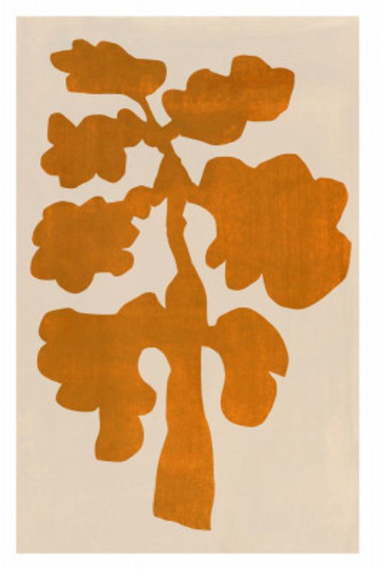 Bold Botanicals  Tangerine Tango