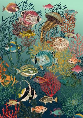 coral reef deep silence teal