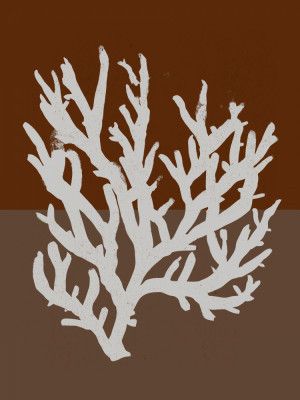 White Coral Silhouette