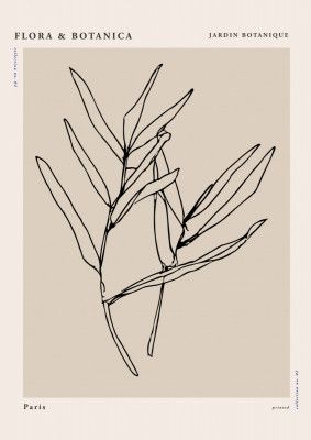 Florabotanicalineno08