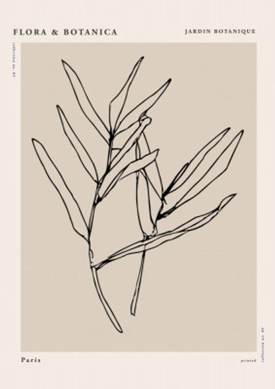 Florabotanicalineno08