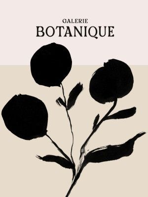 Galeriebotaniqueno8