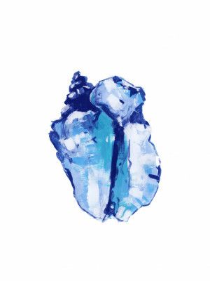 Blue Seashell On White Background No 1