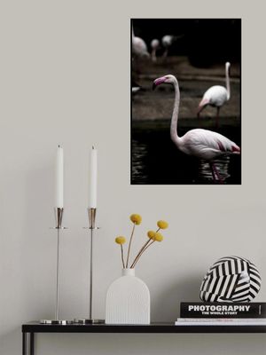 Elegant Pink Flamingo