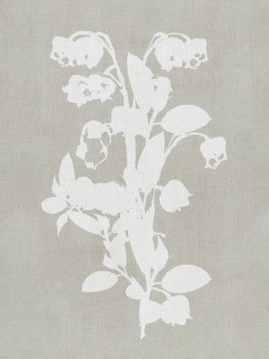 Botanical Illustration 4