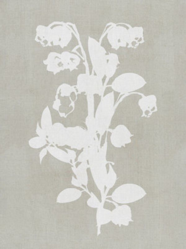 Botanical Illustration 4