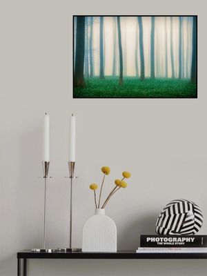 Daydreaming of Bluebells