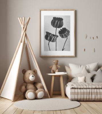 Abutilon (Lime Mallow