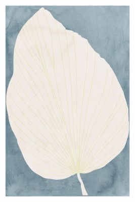 Illustration Of A Large Leaf