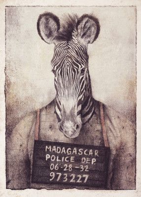 Zebra Mugshot Mystery