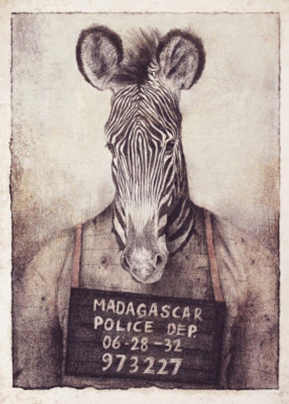 Zebra Mugshot Mystery
