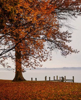 Autumn in Saint Michaels