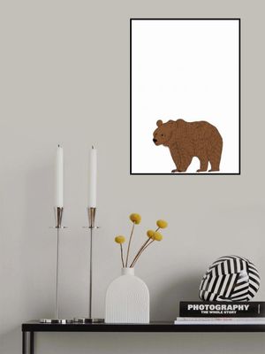 Brown Bear