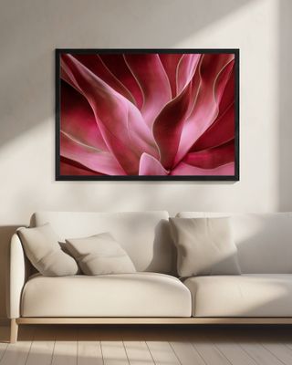 Agave Abstract in Autumn 2023