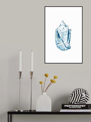 Blue Seashell On White Background No6