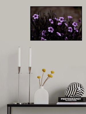Midnight Purple Blooms