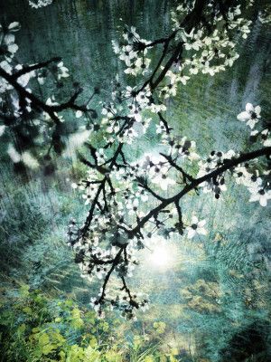 Ethereal Forest Bloom