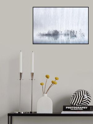 Cold &amp; Foggy Morning in the Swamp