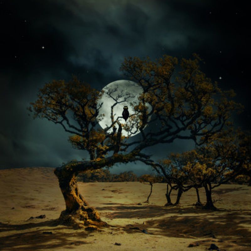 I'm Always Watching You