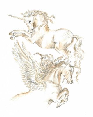 Unicorn and Pegasus