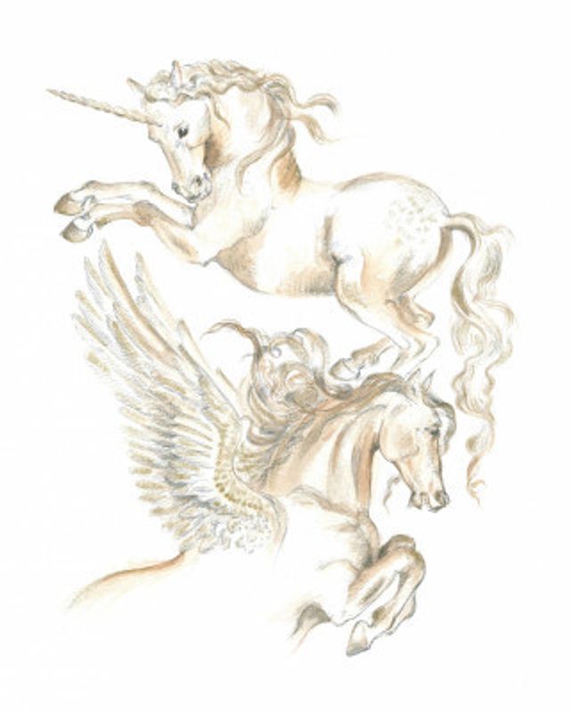 Unicorn and Pegasus