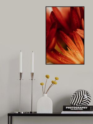 Red Flowers In Soft Focus