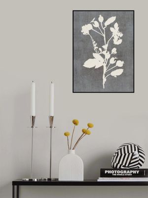 Botanical Illustration 6