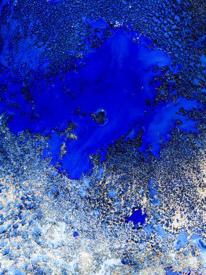 Sunlit Reef Set 1 Upscaled Cgi 13287w Copy