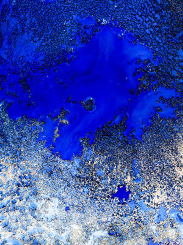 Sunlit Reef Set 1 Upscaled Cgi 13287w Copy