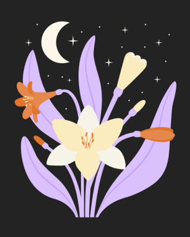 Moonlight Clivia Lily