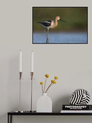 Complementary colors