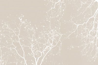 Branches New Natural