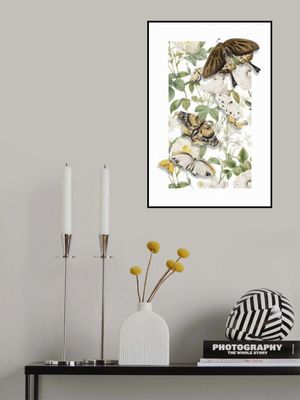 The Spring Butterflies