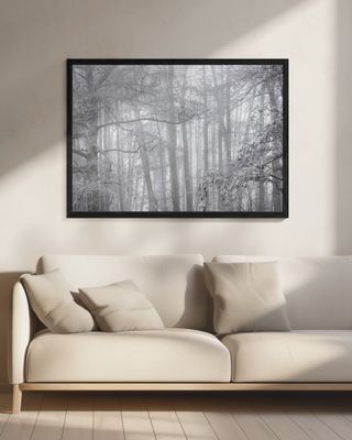 Foggy Winter Morning 2