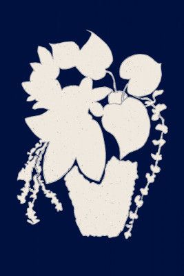 Floral Silhouette of a Plant