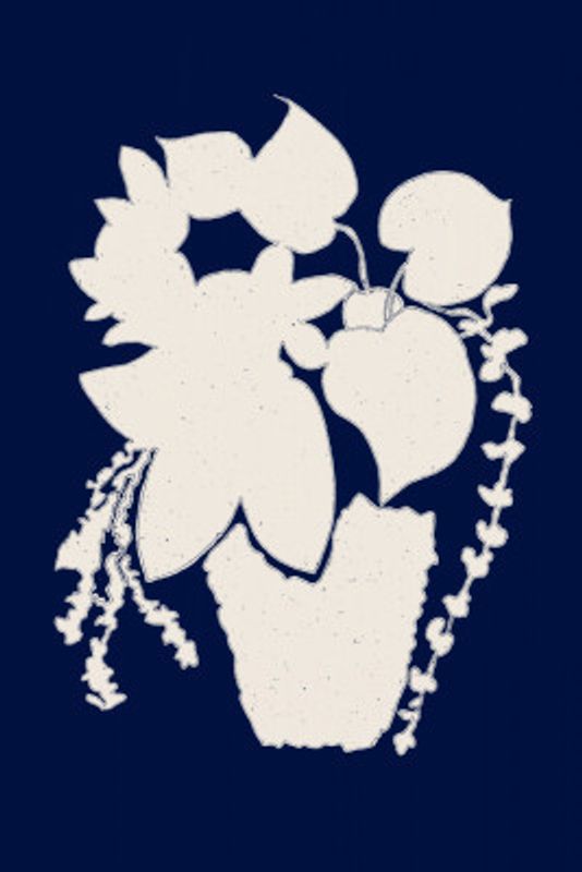 Floral Silhouette of a Plant