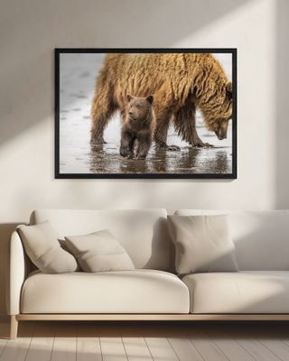 On a mission to catch my first salmon