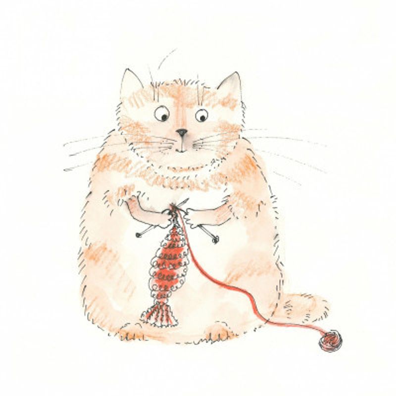 Cat Knitting